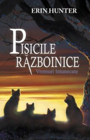 pisici 6
